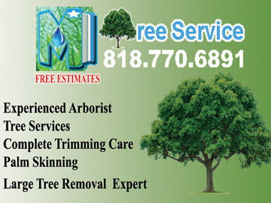 TreeServiceRemoval.jpg